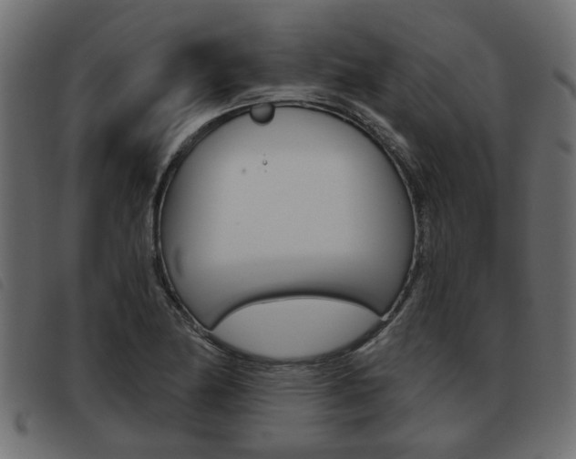 X0000093621174200710151034