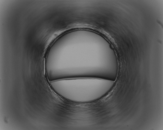 X0000093621175200710151034