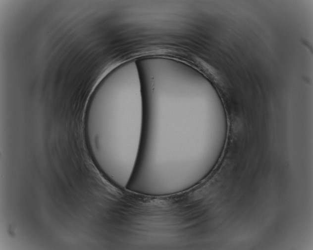 X0000093621178200710151034