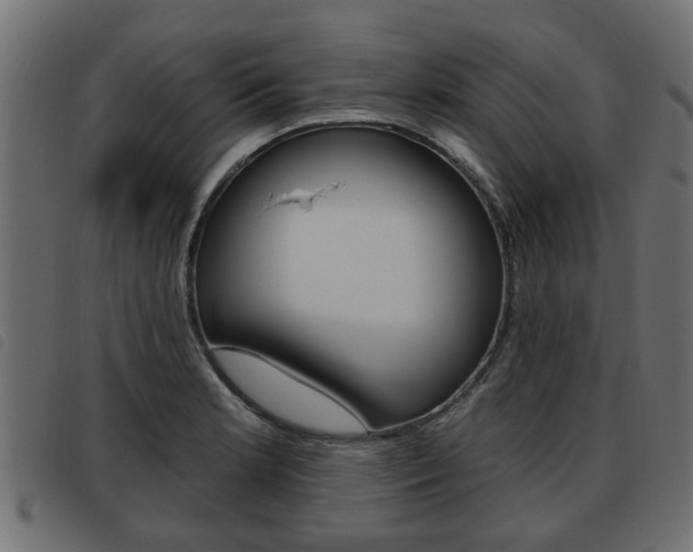 X0000093621181200710151034
