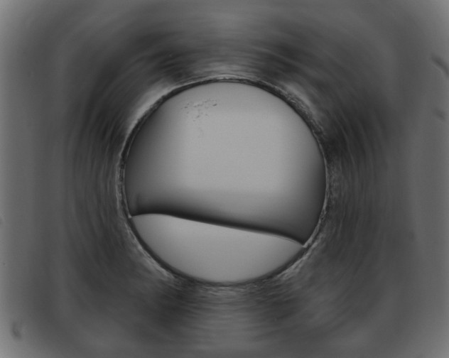 X0000093621182200710151034