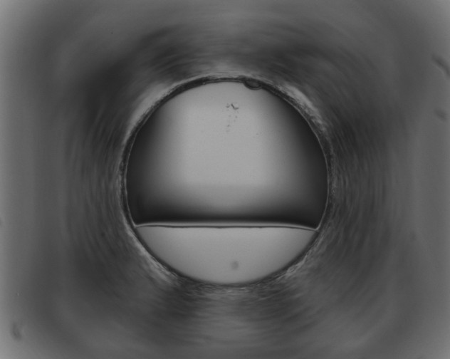 X0000093621183200710151034