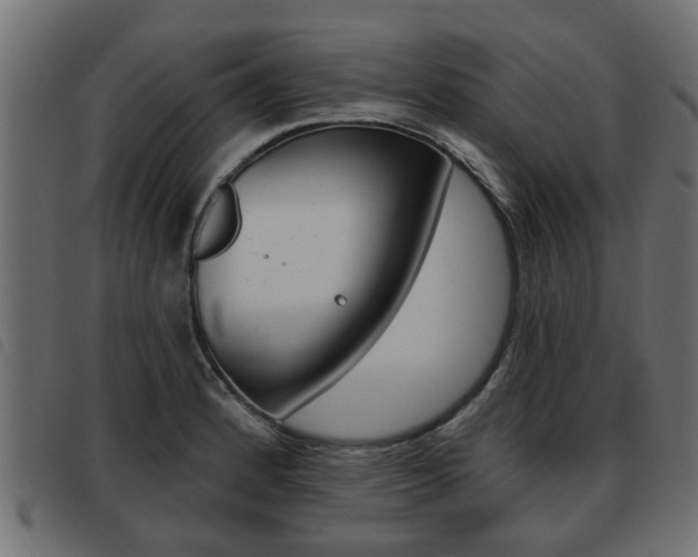 X0000093621184200710151034