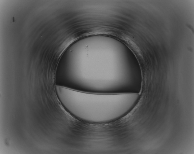 X0000093621185200710151034