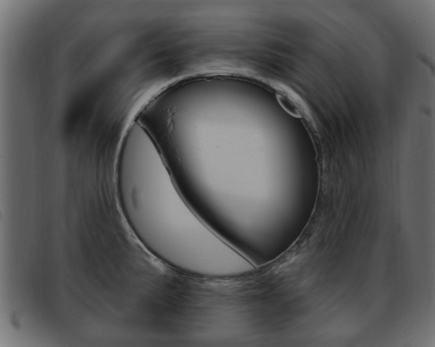 X0000093621191200710151034
