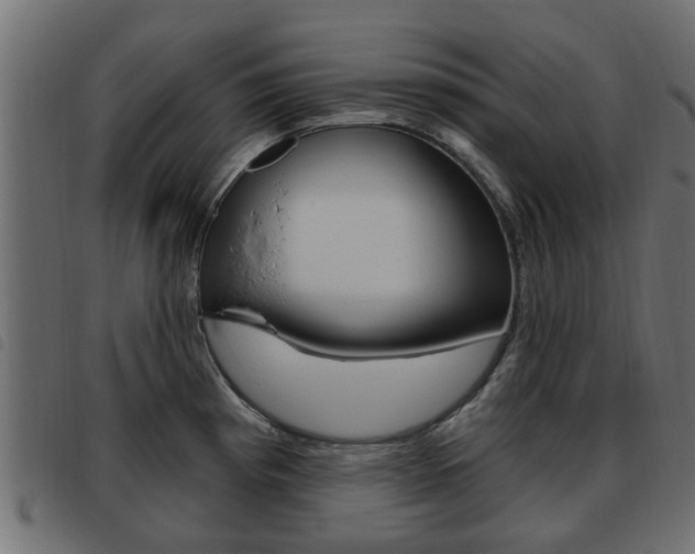 X0000093621193200710151034