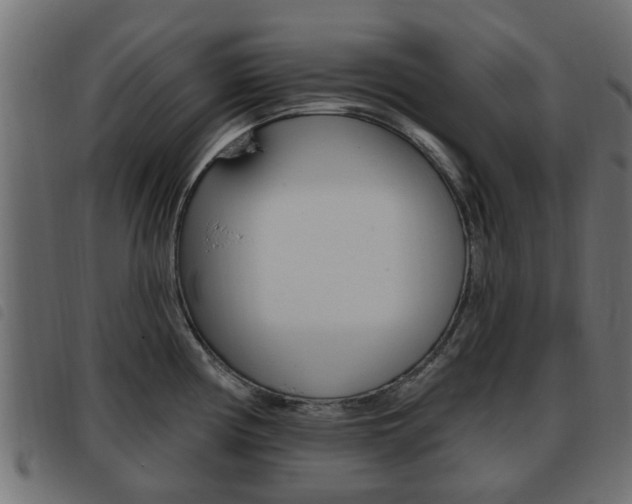 X0000093621194200710151034