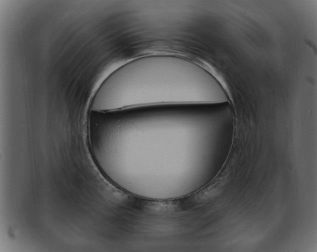 X0000093621195200710151034