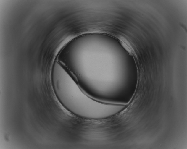 X0000093621197200710151034