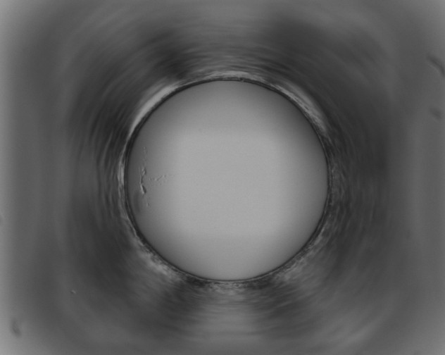 X0000093621198200710151034