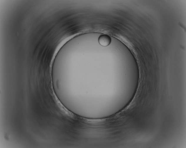 X0000093621200200710151034