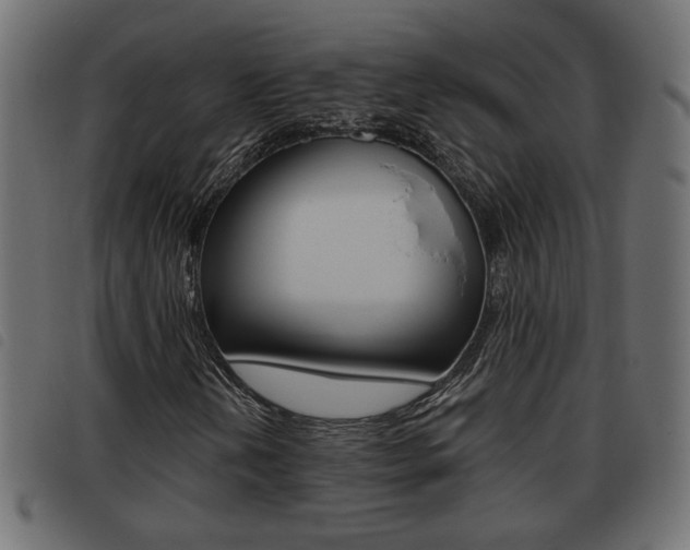 X0000093621202200710151034