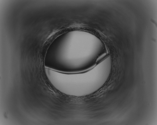 X0000093621206200710151034