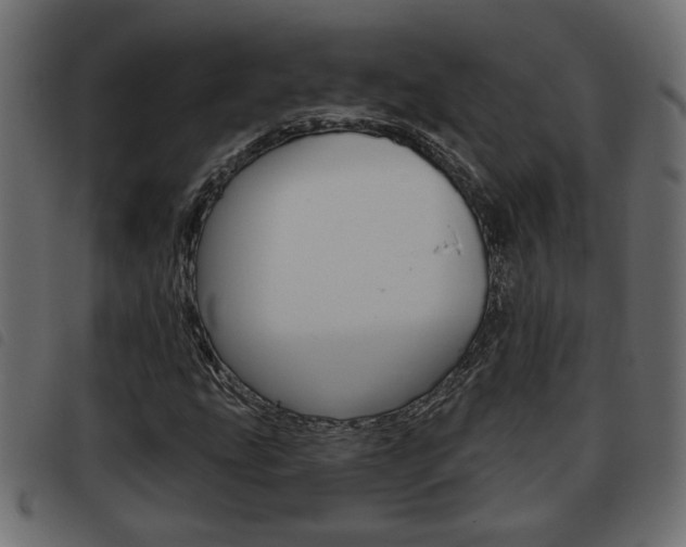 X0000093621207200710151034