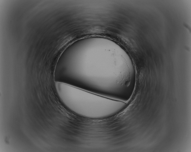 X0000093621209200710151034