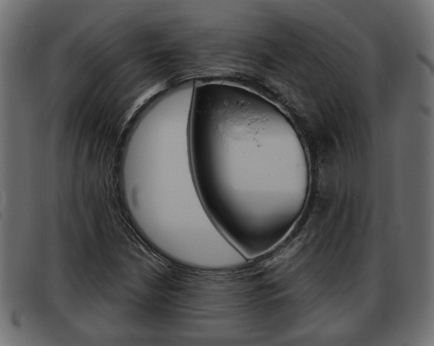 X0000093621210200710151034