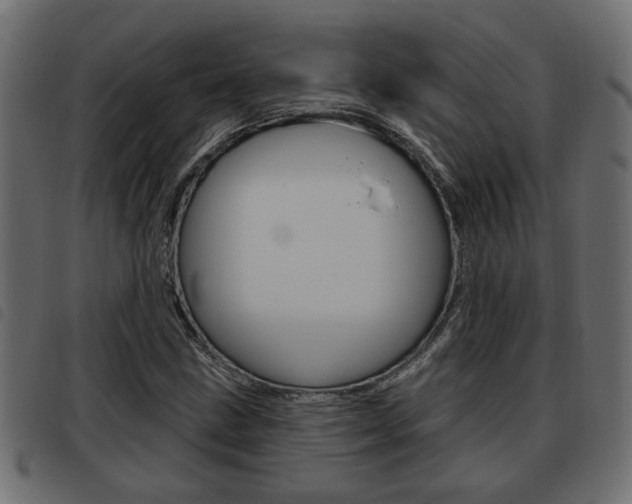 X0000093621211200710151034