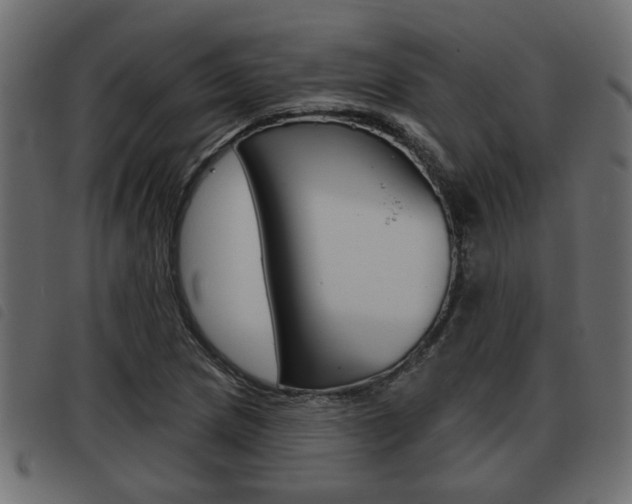 X0000093621217200710151034