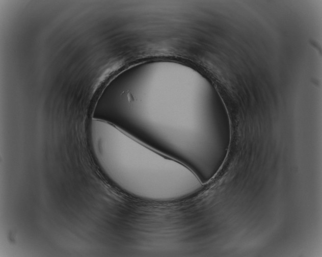 X0000093621218200710151034