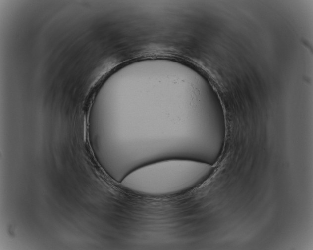 X0000093621219200710151034