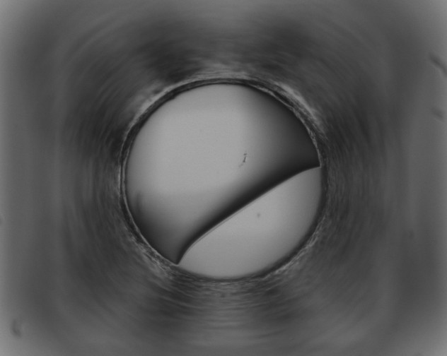 X0000093621220200710151034