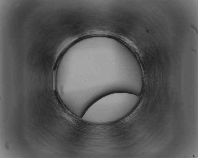 X0000093621223200710151034