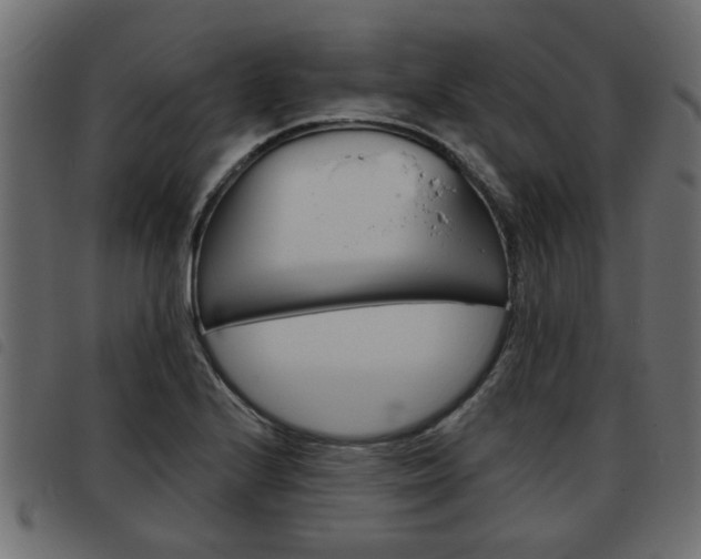 X0000093621224200710151034