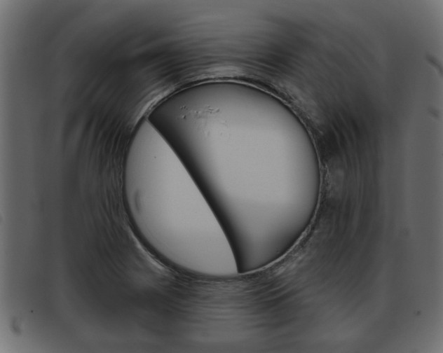 X0000093621225200710151034