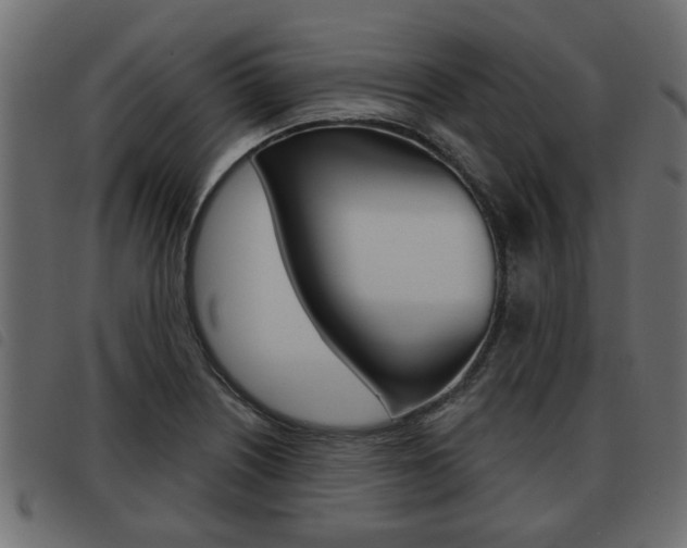 X0000093621226200710151034