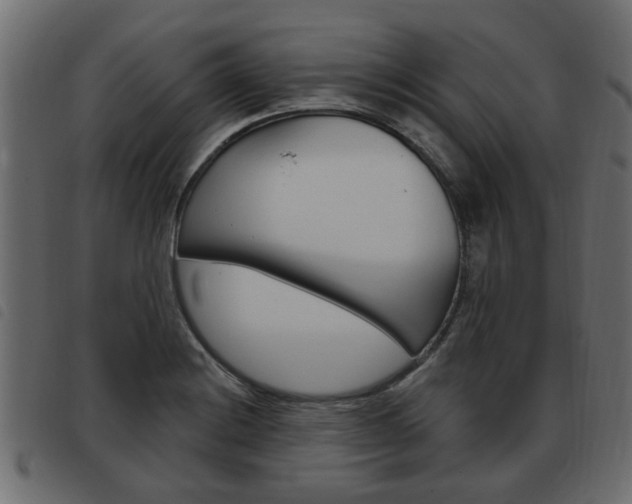 X0000093621228200710151034