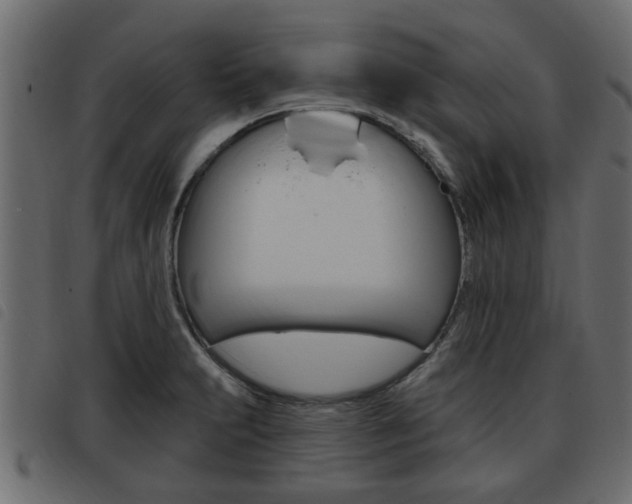 X0000093621231200710151034