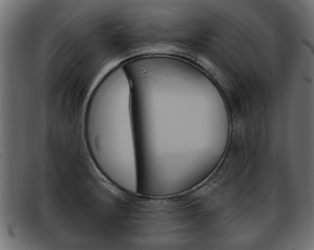 X0000093621232200710151034