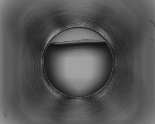X0000093621234200710151034