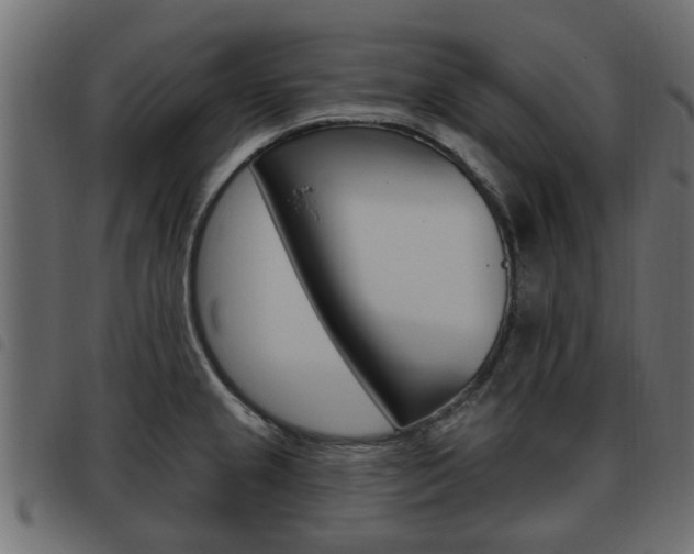 X0000093621237200710151034