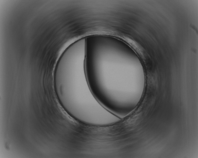 X0000093621238200710151034