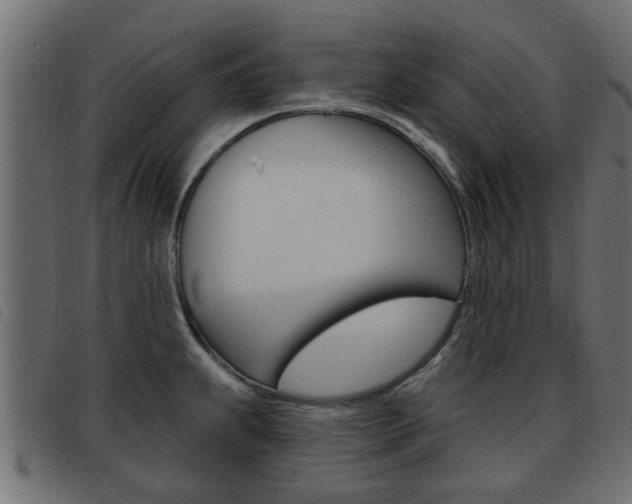 X0000093621239200710151034