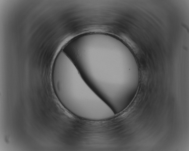 X0000093621240200710151034