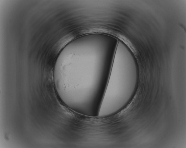 X0000093621241200710151034