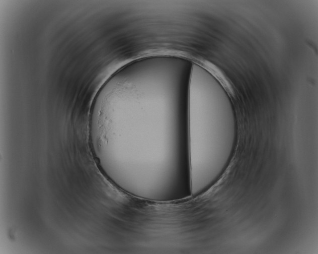 X0000093621244200710151034