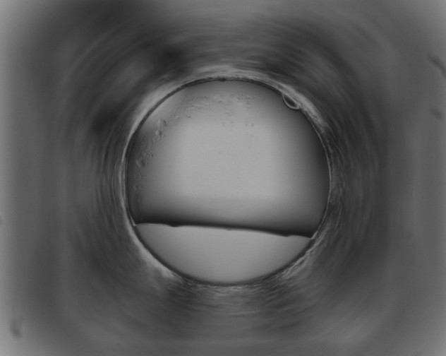 X0000093621247200710151034