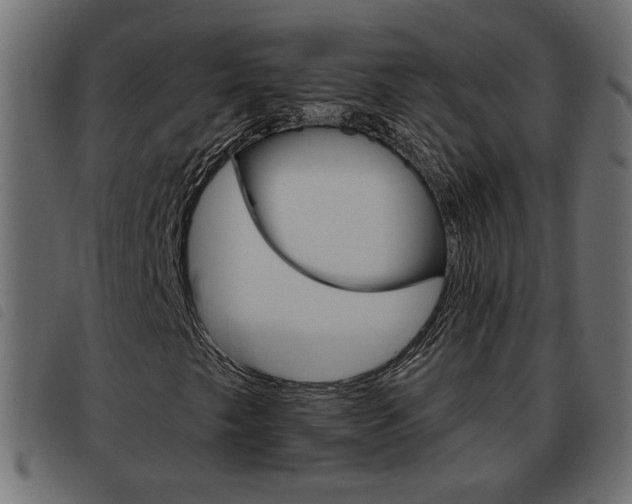 X0000093621249200710151034