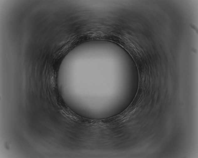 X0000093621250200710151034