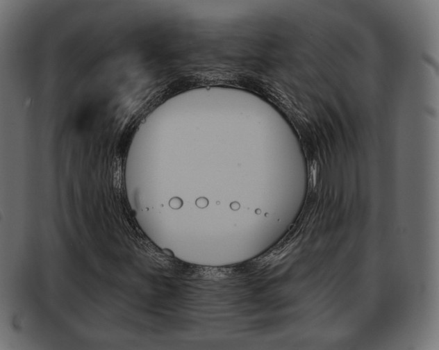 X0000093621251200710151034