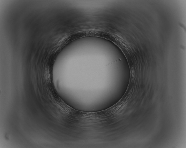 X0000093621252200710151034