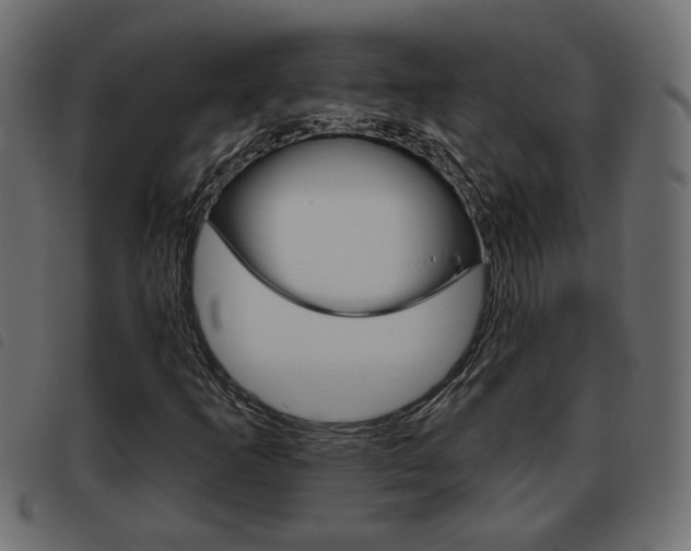 X0000093621253200710151034