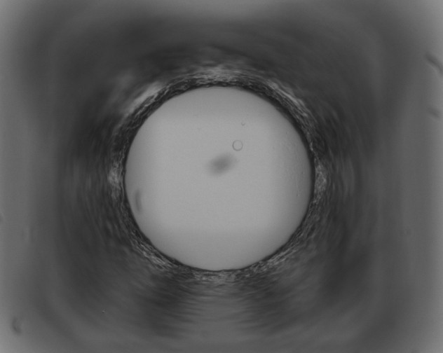 X0000093621254200710151034