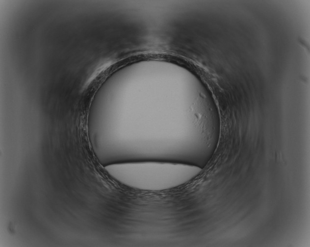 X0000093621255200710151034