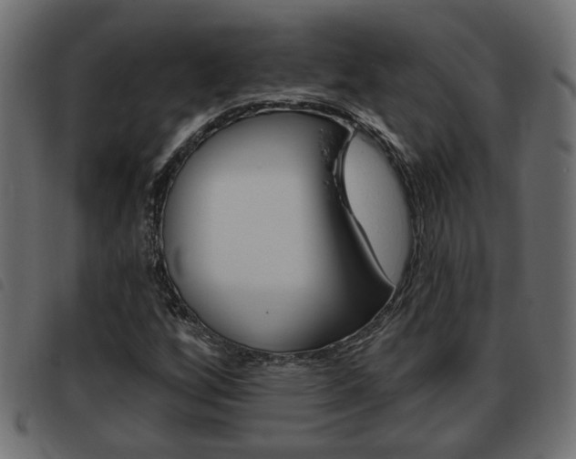 X0000093621256200710151034