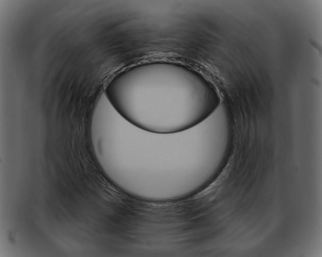 X0000093621257200710151033