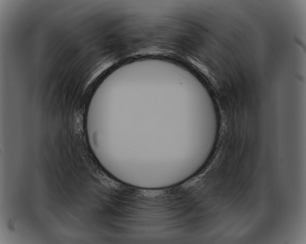 X0000093621258200710151033